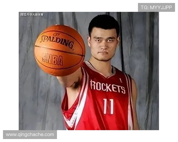 大狗狗姚明的传奇故事与篮球梦想的完美结合 大狗狗姚明的传奇故事与篮球梦想的完美结合