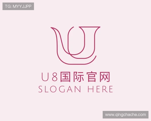 介绍u8国际官网